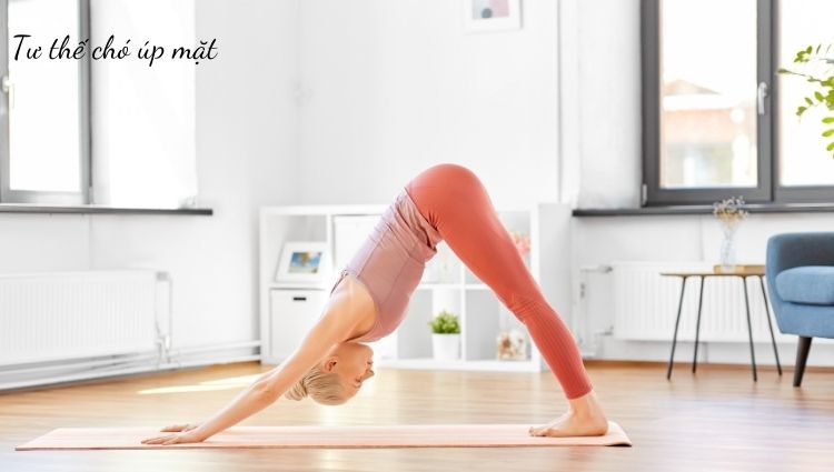 Tư thế chó úp mặt là một trong những động tác cơ bản, dễ luyện tập cho người mới bắt đầu