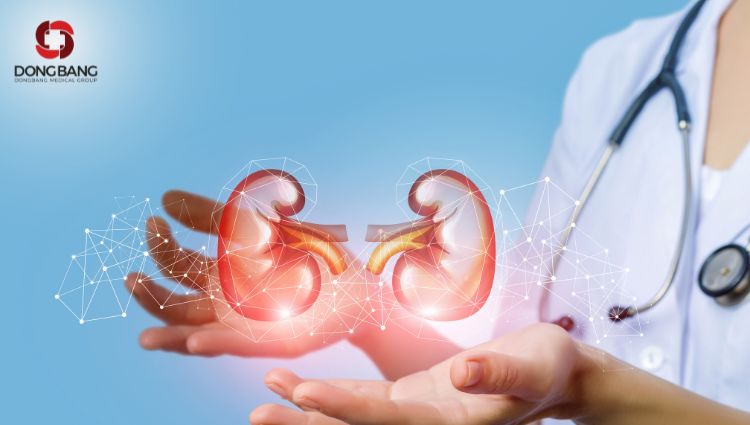 Lắc bụng gây áp lực lên vùng thận