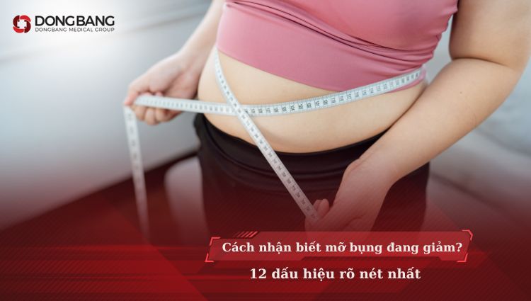 Cách nhận biết mỡ bụng đang giảm? 12 dấu hiệu rõ nét nhất