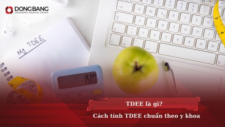 TDEE là gì? Cách tính TDEE chuẩn theo y khoa