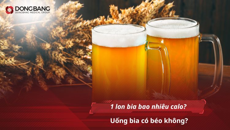 1 lon bia bao nhiêu calo? Uống bia có béo không?