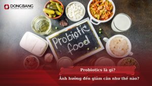 Probiotics là gì? Ảnh hưởng đến giảm cân như thế nào?