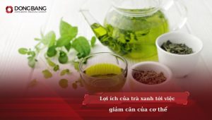 Lợi ích của trà xanh tới giảm cân của cơ thể