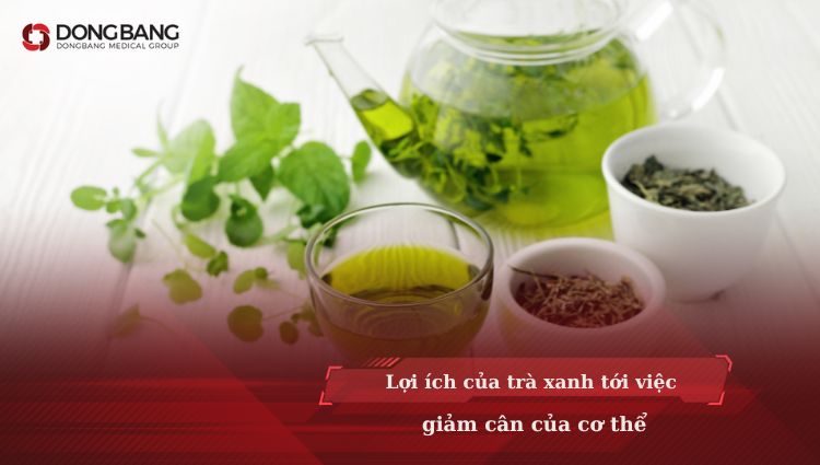 Lợi ích của trà xanh tới giảm cân của cơ thể