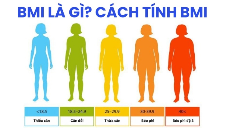 BMI là gì? Ý nghĩa của chỉ số BMI trong sức khỏe