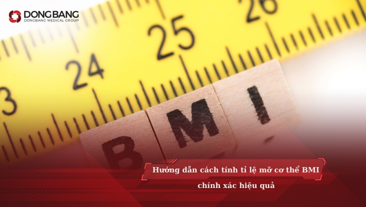 Hướng dẫn cách tính tỉ lệ mỡ cơ thể BMI chính xác hiệu quả