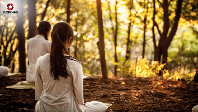 Làm thế nào để bắt đầu ngồi thiền cho người mới bắt đầu