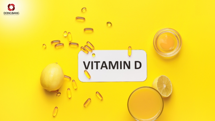 Vitamin D Là Gì