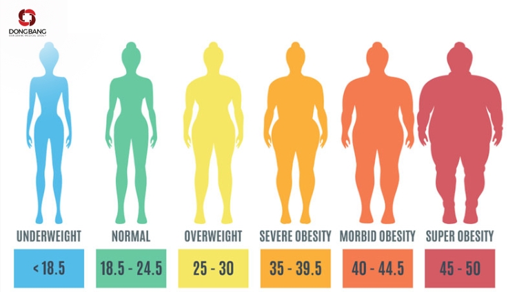 Ý nghĩa của các chỉ số BMI