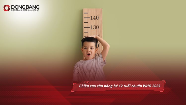 chiều cao cân nặng của trẻ 12 tuổi