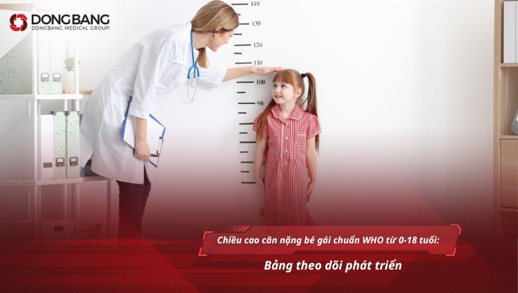 chiều cao cân nặng bé gái